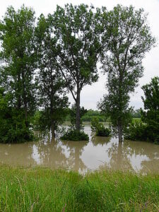  "Land unter" heißt es derzeit in der herrlichen Aulandschaft. Foto: oepb 