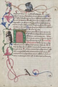 Randdekor mit Drolerien, Grammatik-Lehrbuch (Donat) für Maximilian I. (1459­1519) Handschrift Wien, um 1465/66. Bild: ÖNB