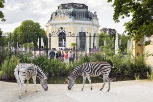 Ein Führungs-Bummel durch den Zoo lädt immer wieder zum Relaxen und Abschalten ein. Foto: Daniel Zupanc