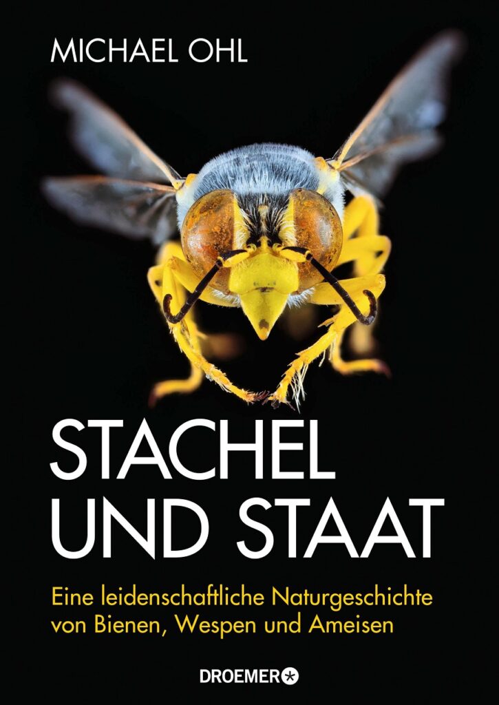 Michael Ohl / STACHEL UND STAAT | Redaktion