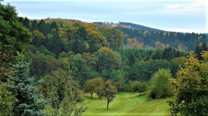 Naherholungsgebiet Wald! Diese wertvolle Ressource gilt es nachhaltig zu schützen, damit sich auch noch die nachkommenden Generationen an sattem Gründ bei guter Luft und Lauten der Tiere des Waldes erfreuen können. Foto: © oepb 