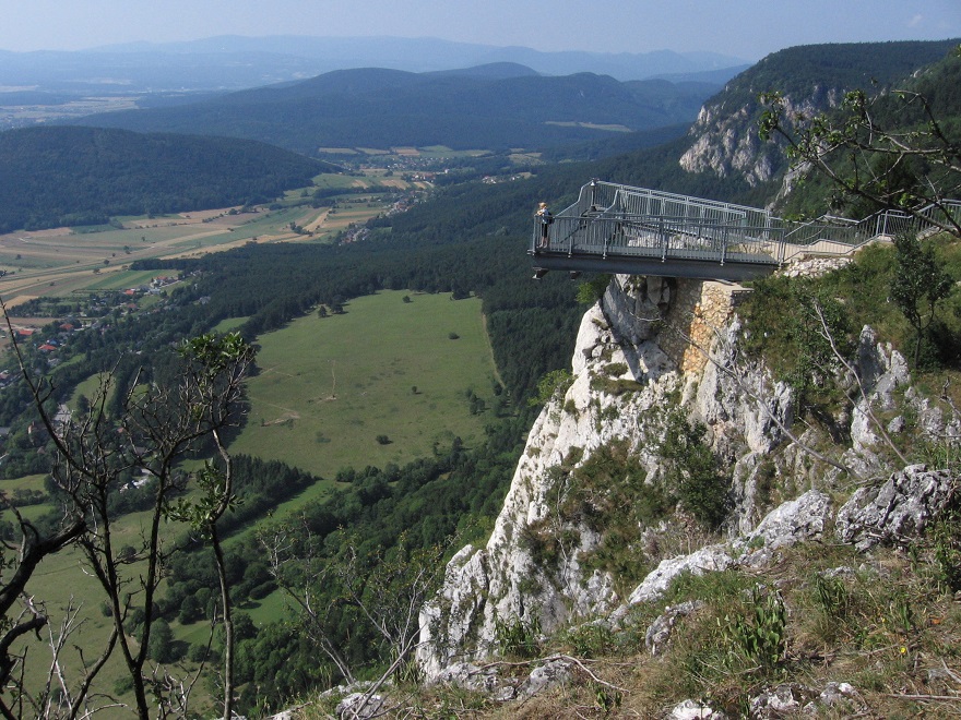 Naturpark Hohe Wand Wandern mit Lamas und Alpakas Redaktion